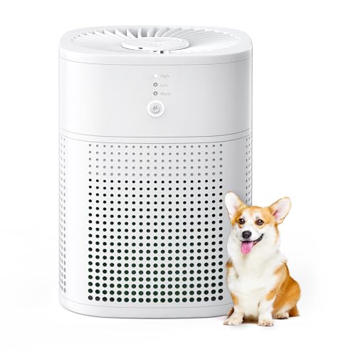 MERONTE Air Purifiers for Bedroom Home True HEPA Air Purifier with Fragrance Sponge Removes Smoke Pollen Pet Dander Allergies Odor Small Air Purifiers