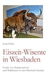  Eiszeit-Wisente in Wiesbaden: Funde von Steppenwisent und Waldwisent in den Mosbach-Sanden