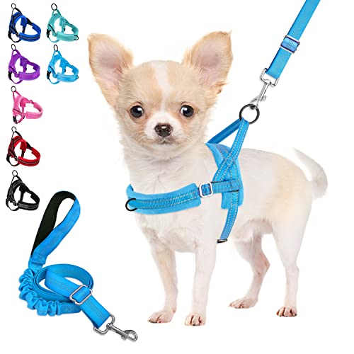 Eyein Dog Harness Small Dog, Anti Pull Heavy Duty Dog Harness and Lead Set