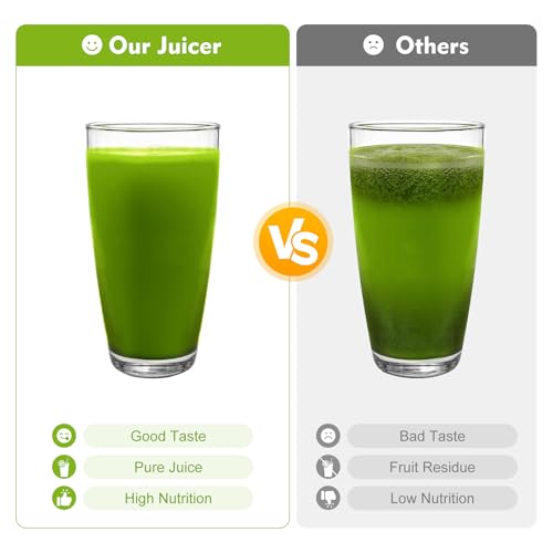 Commercial Electric Juicer Automatic Juice Extractor Orange Lemon Squeezer Vegetable Fruit Cold Press Juicer w/Filter Stainless Steel Press Extractor Tool