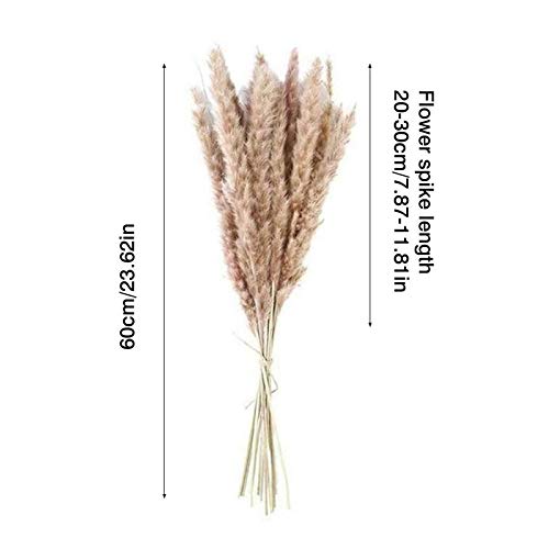15 grama seca pampas, planta junco 61 cm, flores reais flores românticas casamento, plumas secas nat