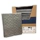 Evolution Sorbent Products XMBGPF1310 Saugfähig, Polypropylen, 33 x 25 cm, Grau, 100 Stück