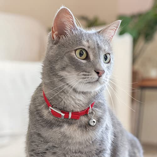 Image of CollarDirect Leather Cat Collar with Bell - Kitten Collar, Small and Big Cat Collar for Boy Cats, Girl Cats with Safety Elastic Strap (Neck Fit 8 inch-11 inch, Red)
