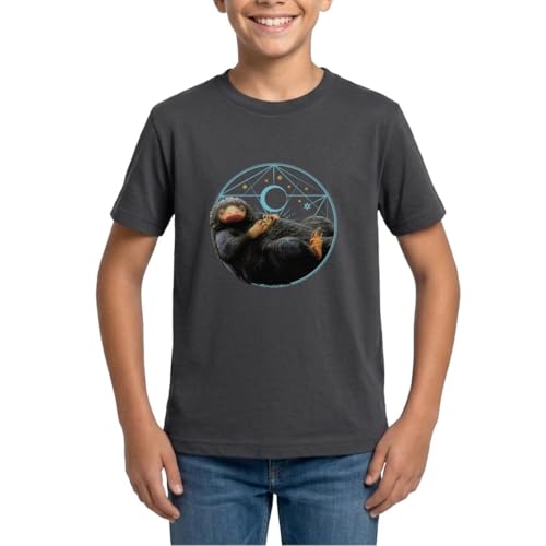 T-shirt ado Animaux Fantastiques idéal pour les journées de cours et sorties entre amis