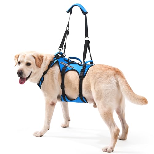 Lafoty arnés Elevador para Perros medianos, arnés de Soporte Corporal Completo con 3 Asas y Correa para Hombro, Ayuda de Movilidad para Perros Mayores con Artritis, escaleras, Azul, M