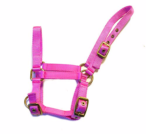 Noseband regolabile Rhinegold - Cavezza per Puledro in Nylon, Rosa, Taglia Unica