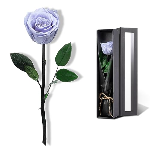Image of Blue Flowers for Delivery Prime, Preserved Blue Roses Flower Gifts for Women, Real Roses Single Rose Gifts for Her, Mom Birthday Gifts from Daughter, Solid Lilac Roses