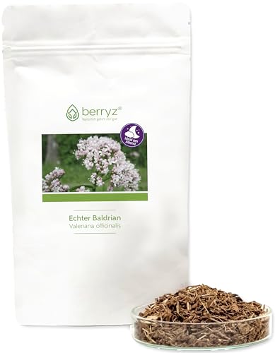 Baldrian hochdosiert als Baldrianwurzel | sehr angenehm runder warm-holziger Geschmack | Baldriantee | 100g | Valeriana officinalis L. Baldrian hochdosiert als Baldrianwurzel | sehr angenehm runder warm-holziger Geschmack | Baldriantee | 100g | Valeriana officinalis L.