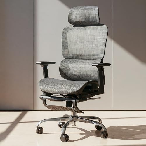 DROGO Ergonomic Office Chair for Work from Home, Computer...