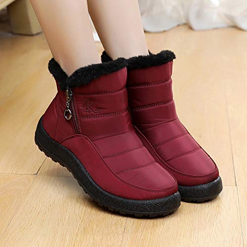 Stivali da Neve da Donna Winter Plus Velvet Warm