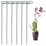 HEIBTENY Confezione da 6 picchetti per piante rampicanti, anelli di supporto da giardino in metallo per amarillidi, orchidee, pomodori, fiori, pali verdi resistenti alla ruggine, dimensioni 25/40/45