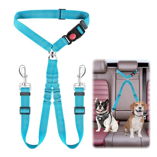 QINGYIWL Doppelter Anschnallgurt Hund Auto, 2 in 1 Verstellbarer Hundegurt fürs Auto, Sicherheitsgurt Hunde für Auto für Kleine & Mittlere Hunde (Blau)