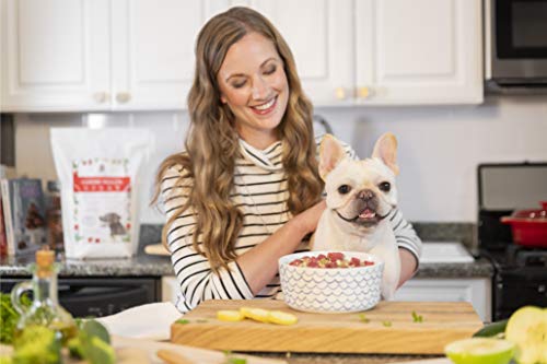 Dr. Harvey's Canine Health Miracle Dog Food, Human Grade Dehydrated Base Mix For Dogs With Organic Whole Grains And Vegetables (Trial Size 6.5 Oz) #TOP6