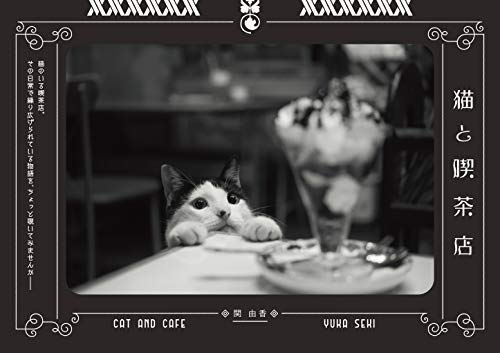 スマホ 無料電子書籍 猫と喫茶店 バイ