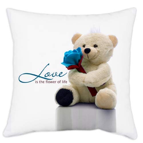 Akshant Gift Wrap Teddy Bear Printed Soft Satin Off White Cushion with Filler for Valentine Akshant Gift, Size-12x12 Inches Set of 1 Pcs