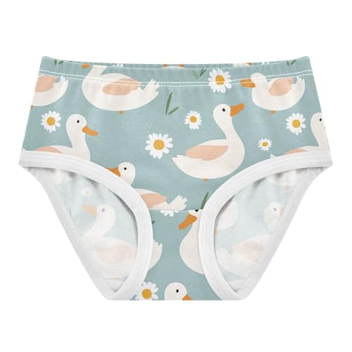 Wusikd Ducks Cloud Girls' Underwear Cotton Daisy Girls Briefs Soft Toddler Underwear 2T