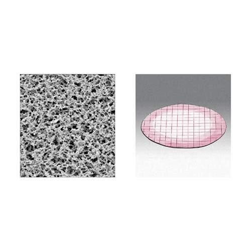 Sartorius 13107-50N Membrane Disc, Non-Sterile, Cellulose Nitrate, 3 mm Hydrophobic Edge, 0.2 um, 50 mm, White with Black Grids (Pack of 100)