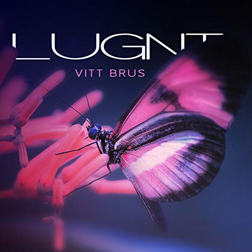 play-lugnt-vitt-brus-djup-avkoppling-terapi-by-lugn-musik-atmosf-r