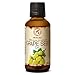 Produktbild Kaltgepresstes Traubenkernöl - Traubenöl 100% Rein Und Natürlich 50ml - Glasflasche - - Vitis Vinifera - Italien  Körperöl - Intensive Pflege Gesicht - Körper - Haare - Kosmetik - Körperpflege