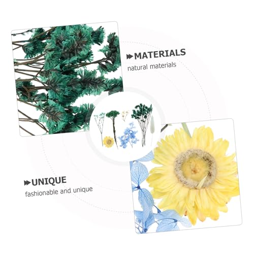 Flores Secas Prensadas para Manualidades IWOWHERO miniatura 7