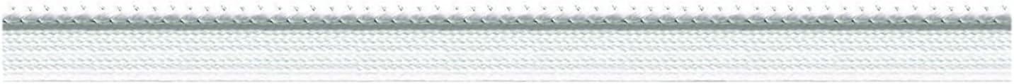 S.I.C SIC-9450 Metallic Piping C/#2 White x Silver, 1 Roll (30 m)