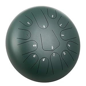 VEVOR Tongtrommel van staal, 13 notities, drum met tong 30 cm, tongdrum mini-slaginstrument