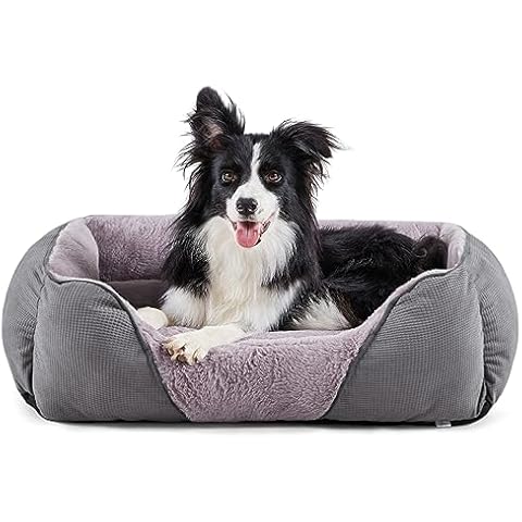 JOEJOY Medium Dog Bed with Support Cover