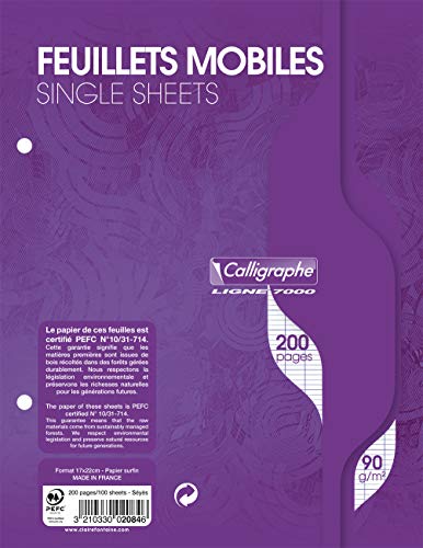 Clairefontaine Ref 2084C - Hojas de papel individuales caligrafo (100 hojas), 170 x 220 mm, 2 agujeros, Séyès Rulings, papel de vitela cepillado, 90 g/m², color blanco