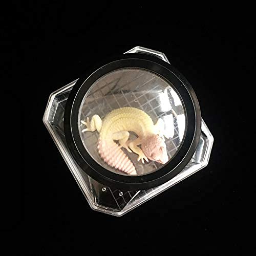 DUBOM Lupa de Mano Lupa Visor de Insectos Acrílico portátil Insectos Observación Lupa Recolección Visor Lupa Niños Niños Niña Regalo Lectura/Observación/Reparación Leer Lupa Lucky Star