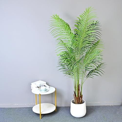 [LJKI] l ϗtA tFCNO[  O CeA A lHϗtA ^  AJV A   sv Q̐SzȂ   SݓX z[ 200cm x_ p Bep u Vzj fR[V