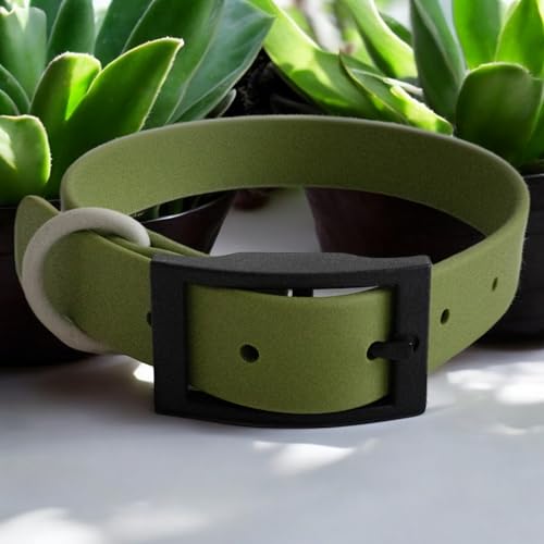 Hundehalsband aus Biothane, abwaschbar, geruchsneutral und pflegeleicht für kleine bis mittelgroße Hunde (Grün, S)