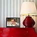 NIX Advance 8 Inch USB Digital Picture Frame; HD IPS Display, Auto-Rotate, Motion Sensor, Remote Control; Mix Photos and Videos in The Same Slideshow