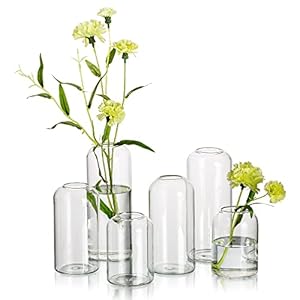 Glass Bud Vases for Flowers – Hewory Blown Modern Small Glass Vases for Centerpieces Set of 6, Mini Clear Bulk Flower Vases for Wedding Party Events Home Decor Floral Arrangements (Not Include Flower)