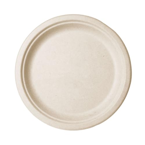 Vegware ͔쉻\ 10C` `t@Co[y[p[v[g 500 ĝ h{ĐVR@ YPFAS/oKX ی^ ؕsgp ┭AX`[苭