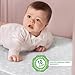 Dream On Me Honeycomb Orthopedic Firm Fiber Standard Baby Crib Mattress, Greenguard Gold and JPMA Certified, 5” Fiber Core Optimum Support, Fits Crib and Toddler Bed, Waterproof Vinyl Cover