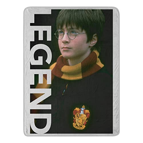 Northwest Harry Potter Micro Raschel Throw Blanket, 46' x 60', Legend