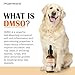 Topical DMSO for Dogs Lipoma, Guard Dog Away from Lumps and Bumps, Reduce Inflammation and Swelling, Soften Fatty Lumps & Lumps, Dog Pain Relief, Lipoma Treatment for Dogs, Help Buddy Regain Energy