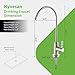 Hyvesan Drinking Water Faucet,RO Faucet Fits Most Reverse Osmosis and Water Filtration System for Kitchen SUS304 Stainless Bar Sink Faucet Brushed Nickel Non-Air Gap