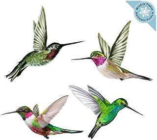 Anti-Collision Window Clings/Decals to Prevent Bird Strikes on Window Glass - Set of