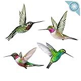 Anti-Collision Window Clings / Decals to Prevent Bird Strikes on Window Glass - Set of 4 Hummingbird...