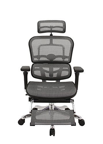 エルゴヒューマン プロ オフィスチェア グレー オットマン内蔵型 ヘッドレスト付き エラストメリックメッシュ ergohuman PRO OTTOMAN EHP-LPL KM-10 エルゴヒューマン プロ オフィスチェア グレー オットマン内蔵型 ヘッドレスト付き エラストメリックメッシュ ergohuman PRO OTTOMAN EHP-LPL KM-10