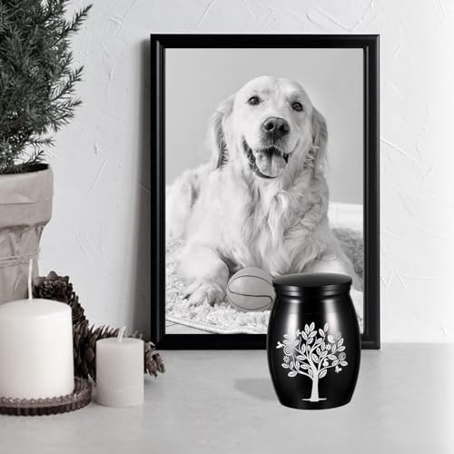Kleine Einäscherung Urne, Mini-Edelstahl-Urnen für Asche, Andenken Urne Mensch, Hund, Kleine Beerdigungsurnen für Haustier oder Menschliche Asche