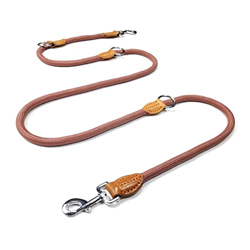 Walking two dogs with ROROR double leash