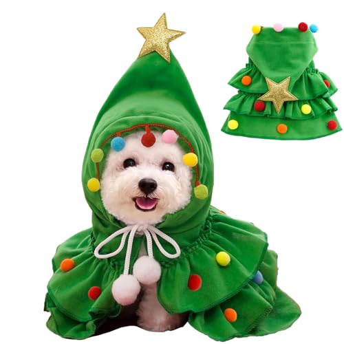 [VIYUFENST]   NX}X }g ybg H ~ p T^ RXv  L T^N[X  nEB NX}Xc[  T^ RX`[ ϑ L  t[ht Xq g 킢 h ^ ^ 