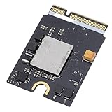 YWBL-WH 2 TB SSD für Mini M4 Interne Festplatte, Upgrade 3500 Mbit/s Schreibgeschwindigkeit, 3000 Mbit/s Lesegeschwindigkeit, ESATA-Schnittstelle, 1-Zoll-Formfaktor mit