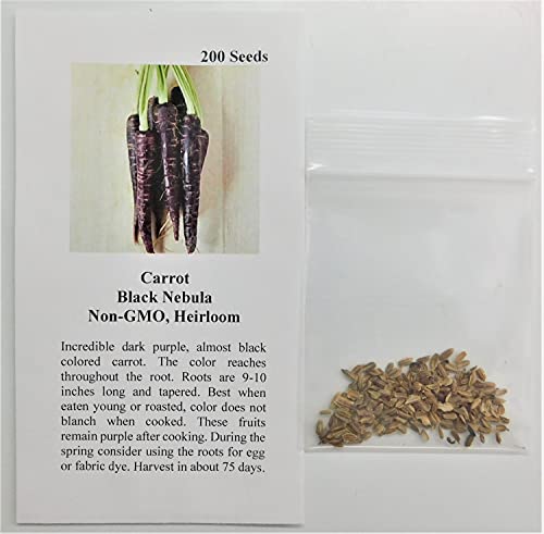Carrot Black Nebula Fba-1155 (Purple) 200 Non-Gmo, Heirloom Seeds #TOP1