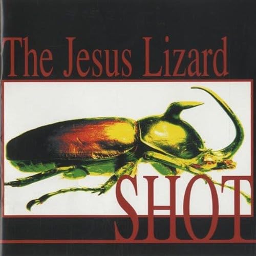 Shot