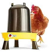 Hühnertränke 3l Geflügeltränke Hühner I Tränke Hühner zum Aufhängen I Hühnertränke 