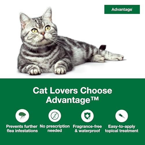 Advantage Topical Cat Flea Treatment and Prevention for Large Cats Over 9 lbs. | Apply Flea Drops Monthly | 2 Treatments - Image 6