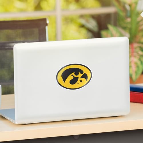 Image of Nudge Printing University of Iowa Haweyes Oval Tigerhawk Black and Gold Weatherproof Vinyl Sticker Car Decal from